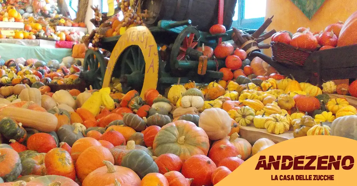 La Casa Delle Zucche 31 Edizione Di Tutto Zucche Mostra mercato Ad La Casa Delle Zucche 31 Edizione Di Tutto Zucche Mostra mercato Ad